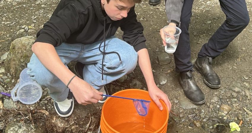GR 8 Salmon Release